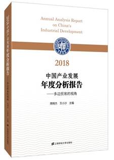 2018中国产业发展年度分析报告  立体书 大